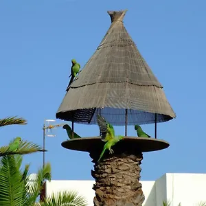 La Kasita In Primavera Costa del Silencio